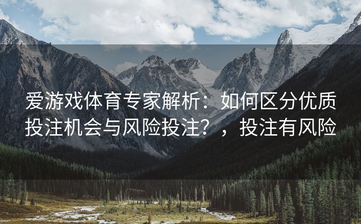 爱游戏体育专家解析：如何区分优质投注机会与风险投注？，投注有风险